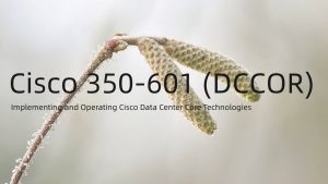 [2021.1] Cisco 350-601 Exam Prep Actual Dumps Questions Sns-Brigh10